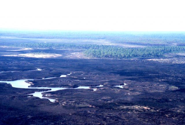 Grand Bay National Estuarine Research Reserve Picture