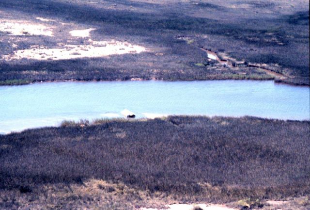 Grand Bay National Estuarine Research Reserve Picture