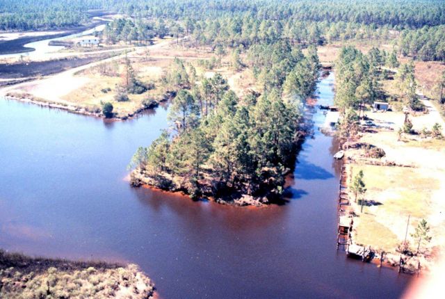 Grand Bay National Estuarine Research Reserve Picture