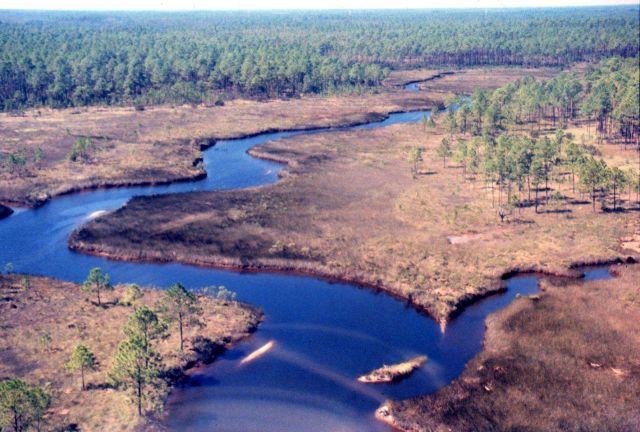 Grand Bay National Estuarine Research Reserve Picture