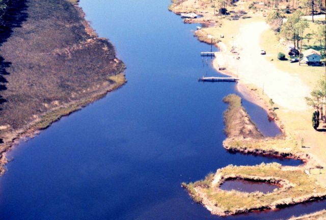Grand Bay National Estuarine Research Reserve Picture