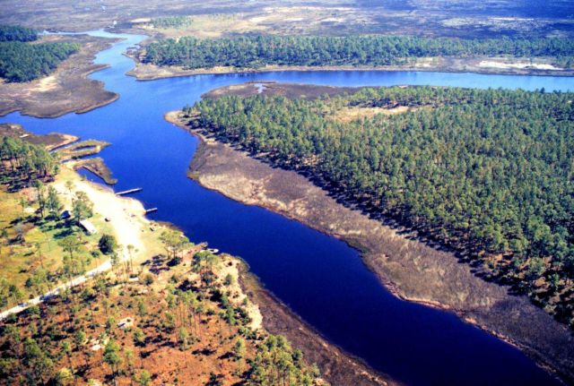 Grand Bay National Estuarine Research Reserve Picture