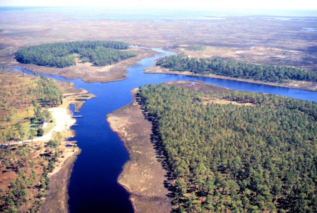 Grand Bay National Estuarine Research Reserve Picture