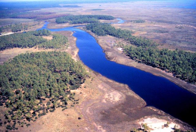 Grand Bay National Estuarine Research Reserve Picture