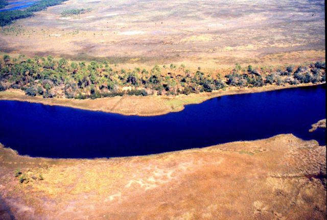Grand Bay National Estuarine Research Reserve Picture