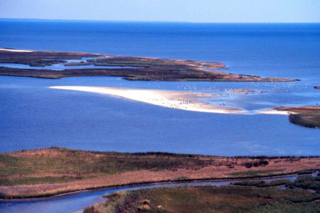 Grand Bay National Estuarine Research Reserve Picture