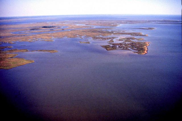 Grand Bay National Estuarine Research Reserve Picture