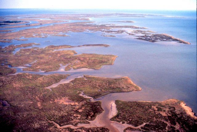 Grand Bay National Estuarine Research Reserve Picture