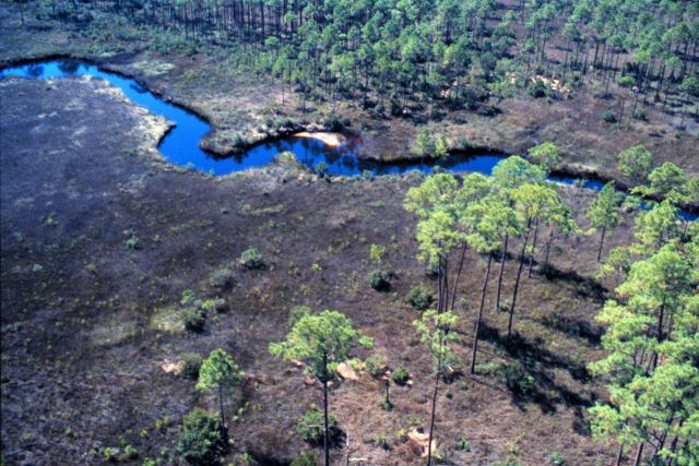 Grand Bay National Estuarine Research Reserve Picture