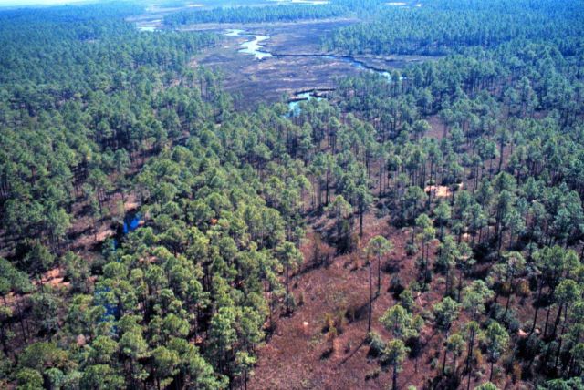 Grand Bay National Estuarine Research Reserve Picture