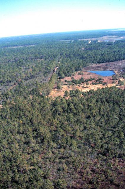 Grand Bay National Estuarine Research Reserve Picture