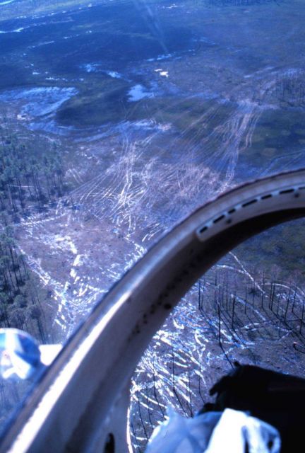 Grand Bay National Estuarine Research Reserve Picture