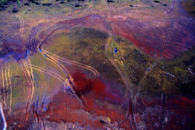 Grand Bay National Estuarine Research Reserve Picture