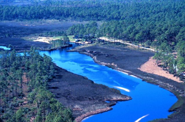 Grand Bay National Estuarine Research Reserve Picture