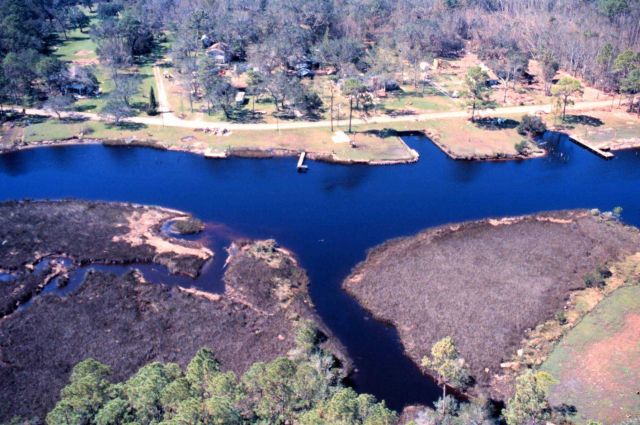 Grand Bay National Estuarine Research Reserve Picture