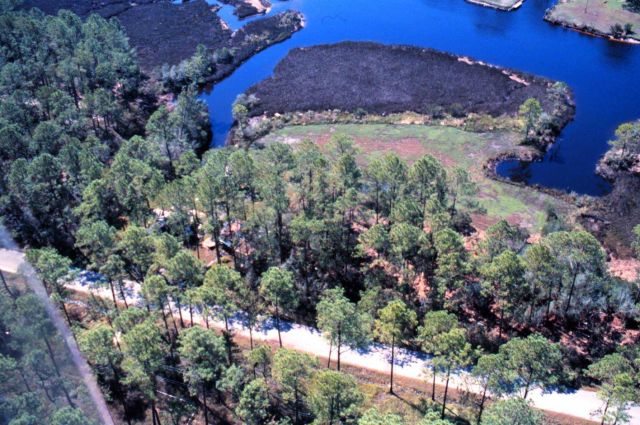 Grand Bay National Estuarine Research Reserve Picture