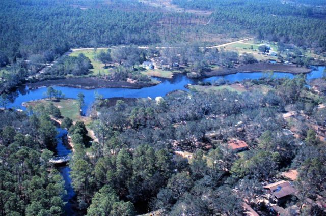 Grand Bay National Estuarine Research Reserve Picture