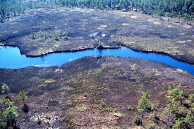 Grand Bay National Estuarine Research Reserve Picture