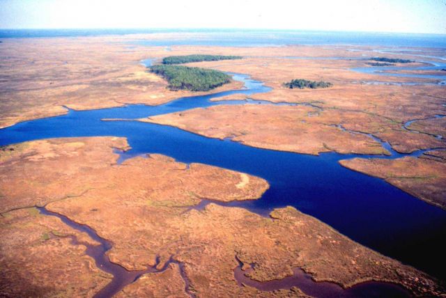 Grand Bay National Estuarine Research Reserve Picture