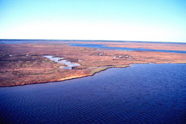 Grand Bay National Estuarine Research Reserve Picture