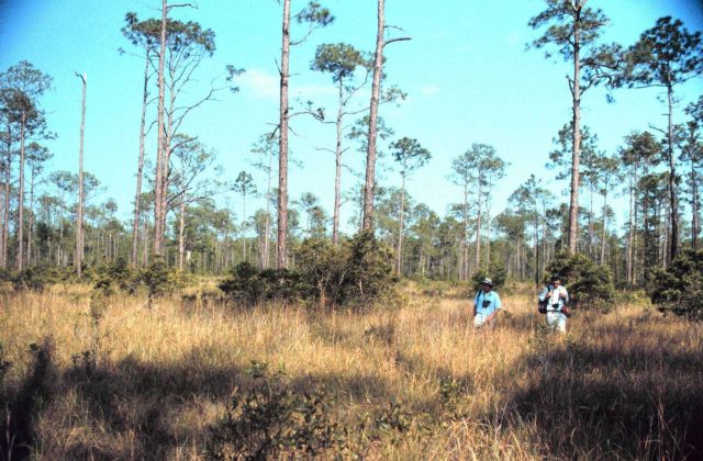 Grand Bay National Estuarine Research Reserve Picture