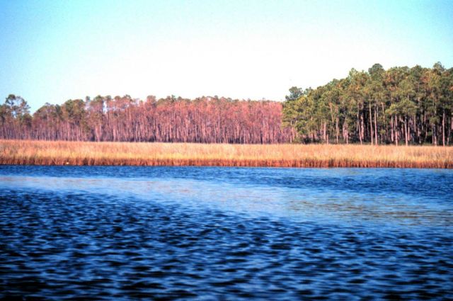 Grand Bay National Estuarine Research Reserve Picture