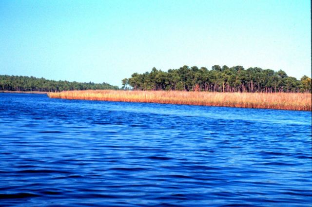 Grand Bay National Estuarine Research Reserve Picture