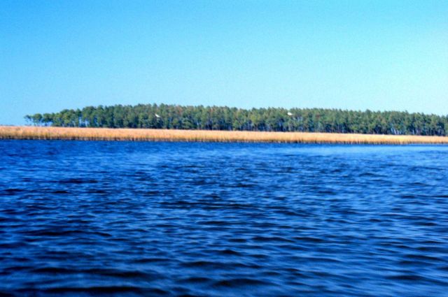 Grand Bay National Estuarine Research Reserve Picture