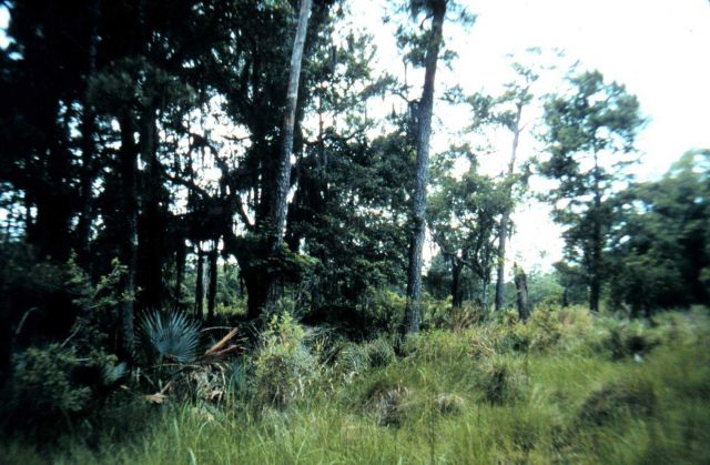 Grand Bay National Estuarine Research Reserve Picture