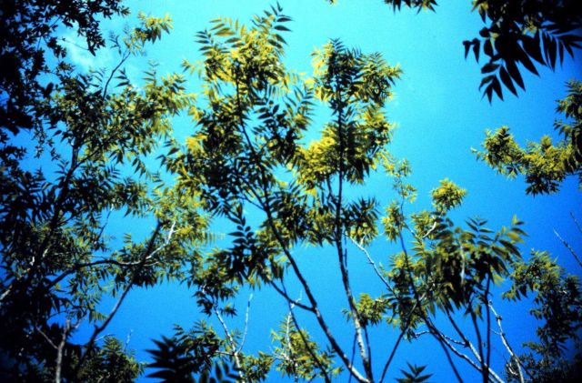 Grand Bay National Estuarine Research Reserve Picture