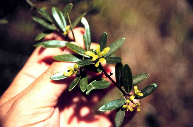 Grand Bay National Estuarine Research Reserve Picture