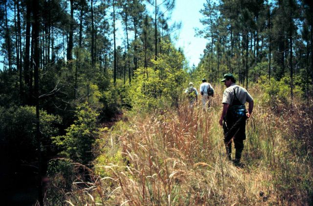 Grand Bay National Estuarine Research Reserve Picture
