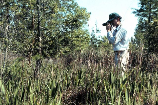 Grand Bay National Estuarine Research Reserve Picture