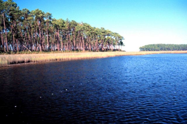 Grand Bay National Estuarine Research Reserve Picture
