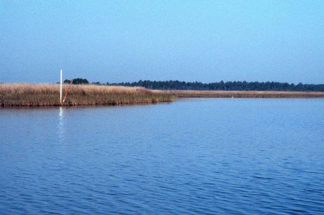 Grand Bay National Estuarine Research Reserve Picture