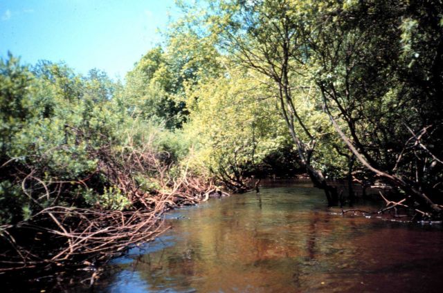 Waquoit Bay National Estuarine Research Reserve Picture
