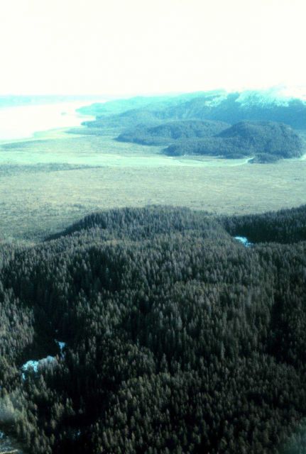 Kachemak Bay National Estuarine Research Reserve Picture