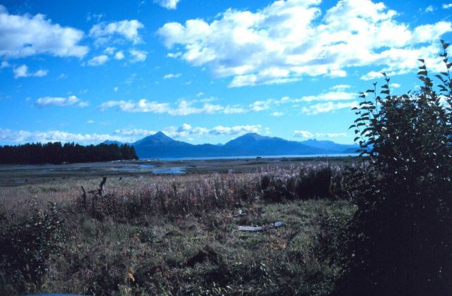 Kachemak Bay National Estuarine Research Reserve. Picture