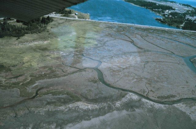 Kachemak Bay National Estuarine Research Reserve. Picture