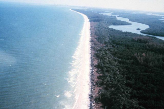 Rookery Bay National Estuarine Research Reserve Picture