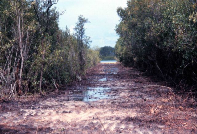 Rookery Bay National Estuarine Research Reserve Picture