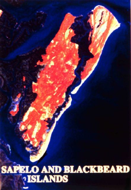 Sapelo Island National Estuarine Research Reserve Picture