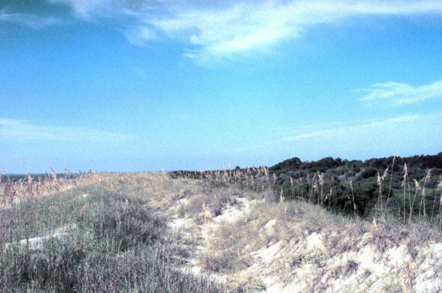 Sapelo Island National Estuarine Research Reserve Picture
