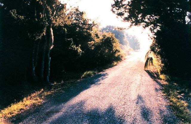 Sapelo Island National Estuarine Research Reserve Picture