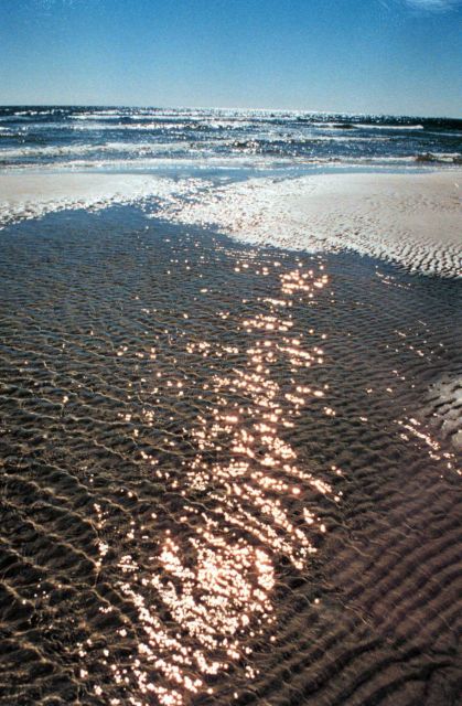 Sapelo Island National Estuarine Research Reserve Picture