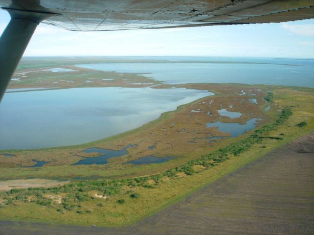 Mission-Aransas National Estuarine Research Reserve. Picture
