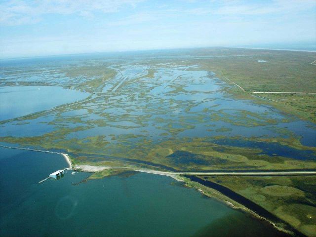 Mission-Aransas National Estuarine Research Reserve. Picture