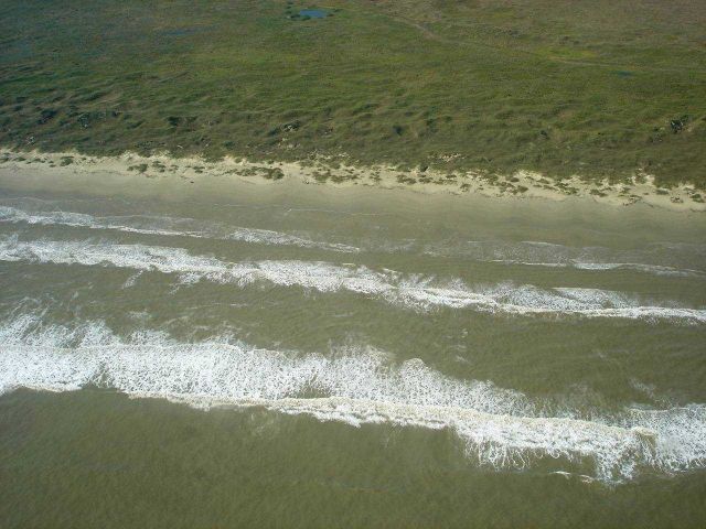 Mission-Aransas National Estuarine Research Reserve. Picture