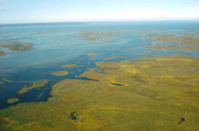 Mission-Aransas National Estuarine Research Reserve. Picture