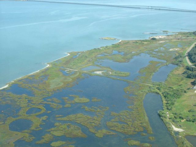 Mission-Aransas National Estuarine Research Reserve. Picture